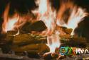 Fireplace - the Fireplace in HD