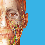 İnsan Anatomisi Atlası