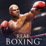 real boxing fighting game