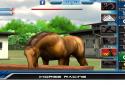 iHorse Racing: free horse racing game