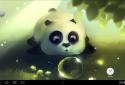 Panda Dumpling