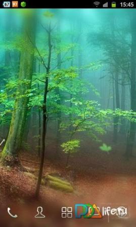 Forest Live Wallpaper 3D  APK for Android