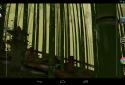 Bamboo grove 3D