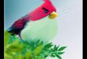 Natural Angry Birds Free LWP