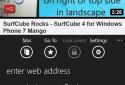 SurfCube 3D Browser