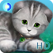 Silvery the Kitten HD
