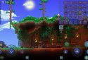 Terraria