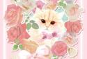 Pinky world of cats