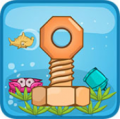 m screw puzzle