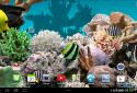 3D Aquarium Live Wallpaper PRO