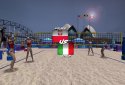 VTree Entertainment Volleyball