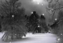Falling Snow-Christmas LWP