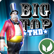 Big Top THD