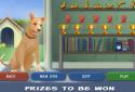 Clickety Dog: Pet School