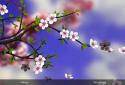 Spring Flowers 3D Parallax Pro