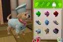 PS Vita Pets: Your puppy