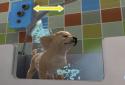 PS Vita Pets: Твой щенок