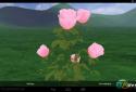 Розы 3D Живые Обои