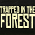 Trapped in the Forest