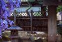 Real Zen Garden 3D: Night LWP