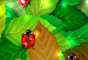 Colorful Ladybug Garden LWP