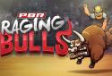PBR: Raging Bulls