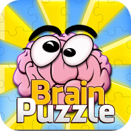 Brain Puzzle PRO