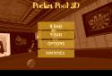 Pocket Pool 3D