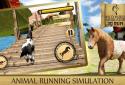 Wild Horse Simulator - 3D Run