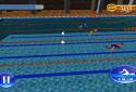 Плавання Race 3D