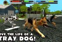 Stray Dog Simulator