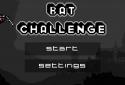 Bat Challenge