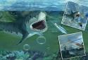 Hungry White Shark Revenge 3D