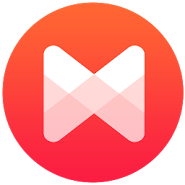 Musixmatch Lyrics Music Player