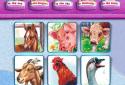 Animal Kingdom for kids!