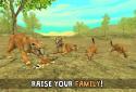 Wild Cougar Sim 3D