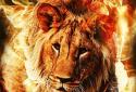 Fire Lion Live Wallpaper