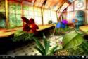 Magic Greenhouse 3D