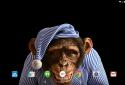 Angry Monkey 3D Live Wallpaper