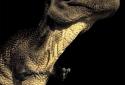 Dino T-Rex 3D Live Wallpaper