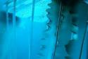 Night Light Jelly Fish LWP 3D