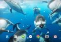 3D Ocean Dolphin Live Wall