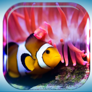 Flora Coral Fish 3D Live WP