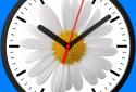 Logo Analog Clock-7