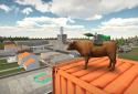 Bull Simulator 3D