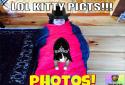 InstaKitty 3D-Virtual Cat Sim