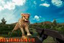Wild Jungle Hunter Shooting 3D