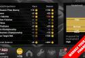 FL Racing Manager 2016 Pro