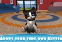 Daily Kitten : віртуальний кіт