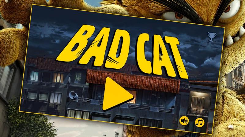 Bad Cat, 2018